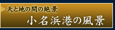 �����l�`�̕��i