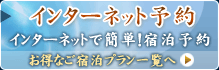 �C���^�[�l�b�g���h���\��